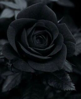 Фирдавс Имератов — фото 1